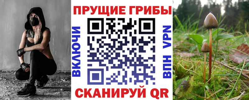 Псилоцибиновые грибы MAGIC MUSHROOMS Нижневартовск